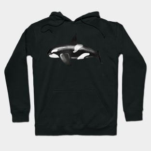 Whale Hoodie